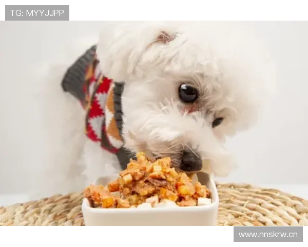 阿尔瓦雷斯家的狗都吃有机牛排？