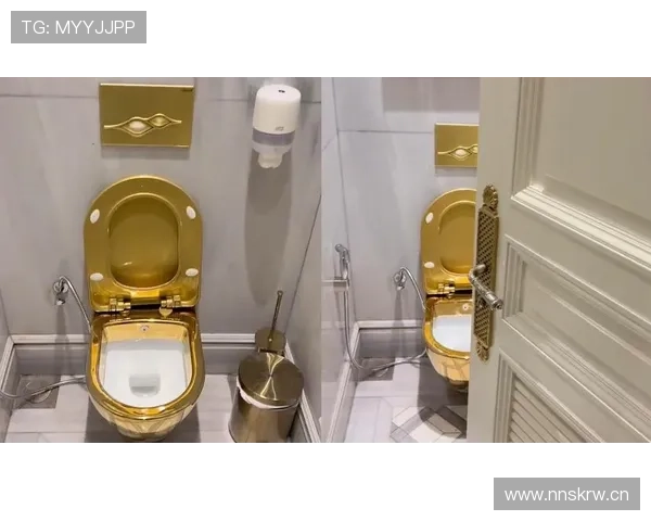 范迪克家里马桶镶金边？