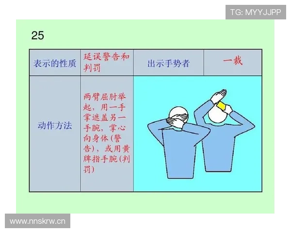 裁判手势规则解析：详解常见手势含义与适用场景
