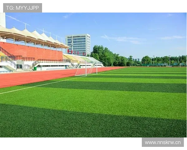 2026世界杯草坪标准规则有哪些 2026世界杯草坪标准规则有哪些